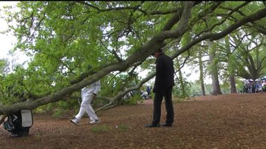 Mickelson's trouble in the trees