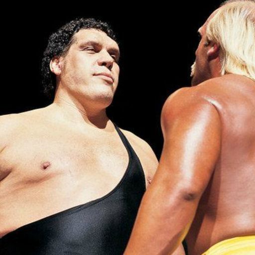 When Hogan slammed Andre
