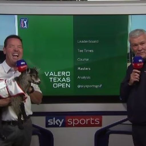 Goat at the Sky Cart