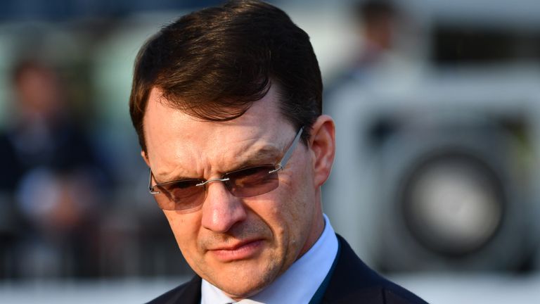 Trainer Aidan O'Brien after Highland Reel won Race 4, The Longines Hong Kong Vase during Longines Hong Kong International Race Day at Sha Tin Racecourse on December 10, 2017