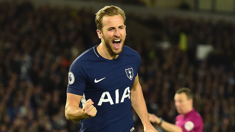 Harry Kane celebrates his goal against Brighton