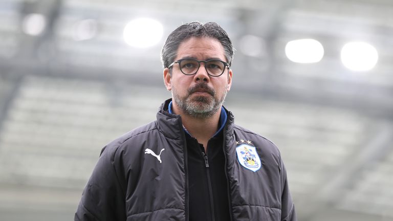 David Wagner assesses the pitch at the Amex Stadium on Saturday