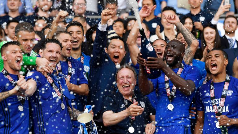 Neil Warnock and Cardiff's players celebrate the team's promotion to the Premier League