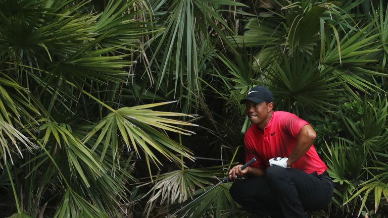 during the final round of THE PLAYERS Championship on the Stadium Course at TPC Sawgrass on May 13, 2018 in Ponte Vedra Beach, Florida.