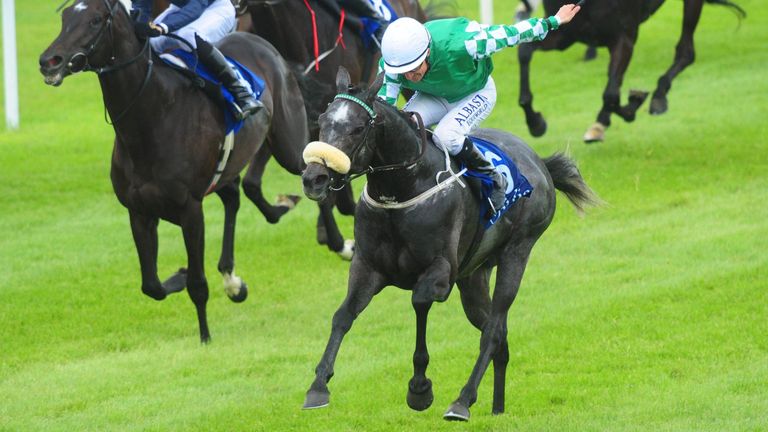 Platinum Warrior wins the Airlie Stud Gillenaule Stakes 