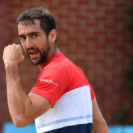 Cilic reaches Queen's final again