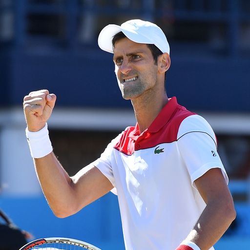 Djokovic to face Cilic in Queen's final