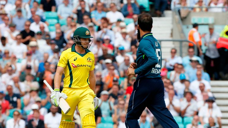 Tim Paine, Australia