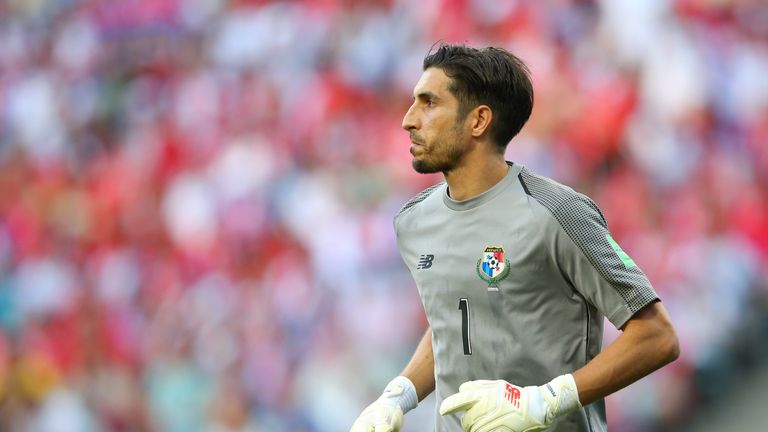 of Belgium of Panama during the 2018 FIFA World Cup Russia group G match between Belgium and Panama at Fisht Stadium on June 18, 2018 in Sochi, Russia.