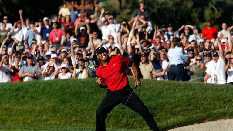 during the final round of the 108th U.S. Open at the Torrey Pines Golf Course (South Course) on June 15, 2008 in San Diego, California.