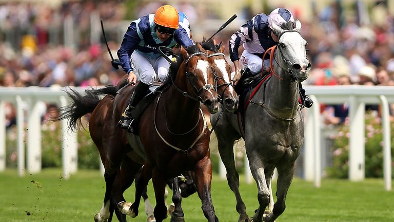 Accidental Agent (left) beats Lord Glitters in the Queen Anne
