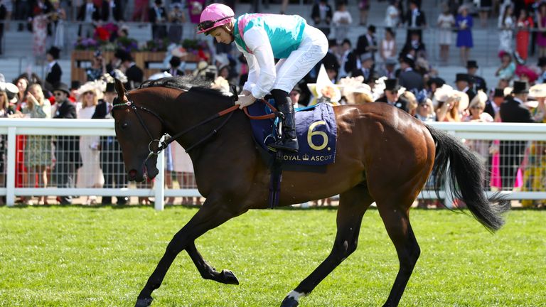 Equilateral: Scoped dirty after Royal Ascot