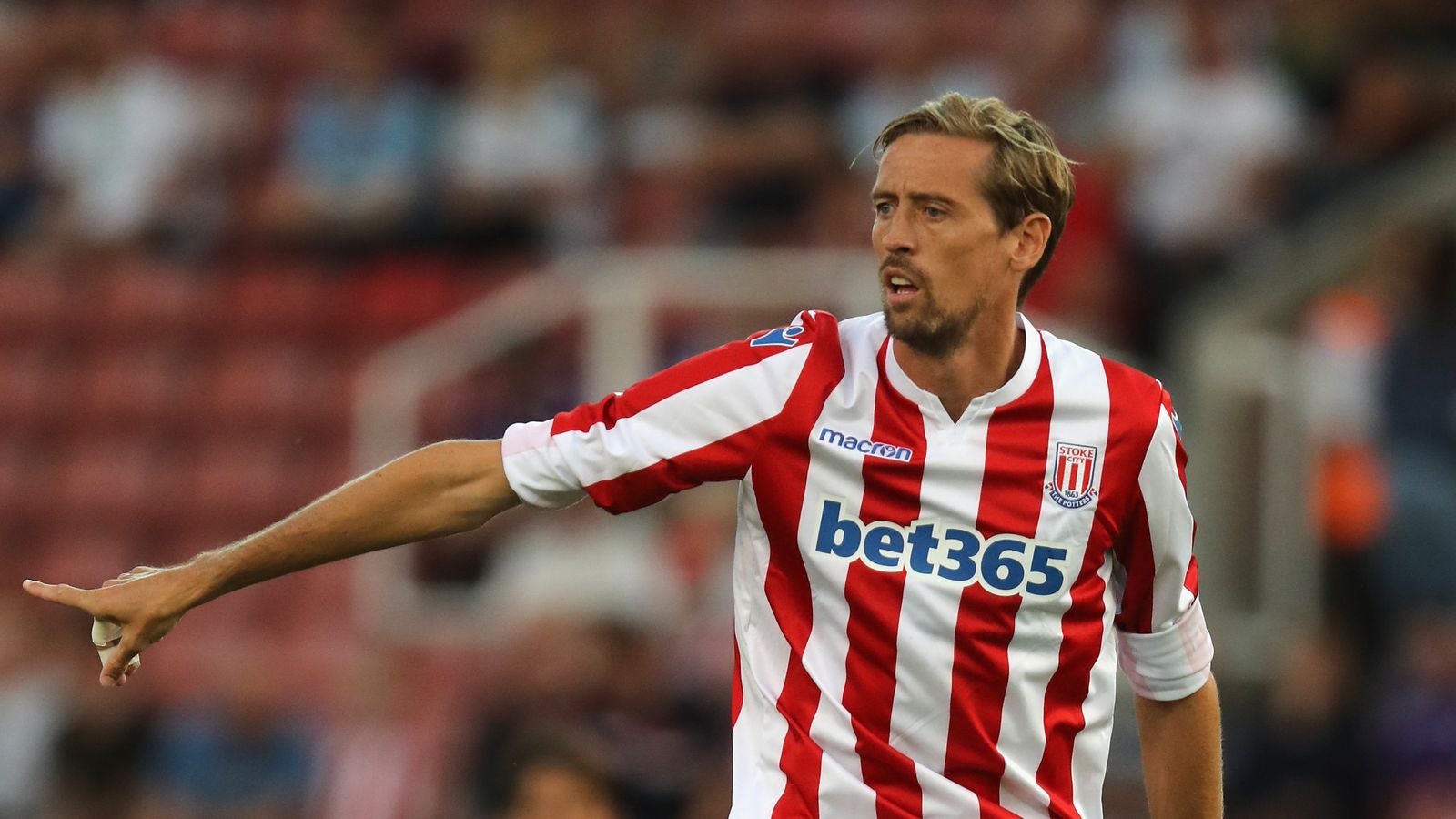 Peter Crouch - Player profile