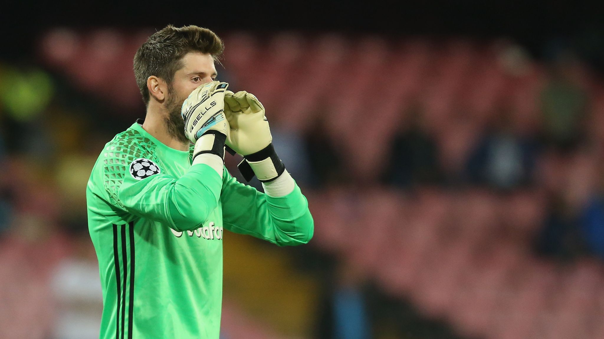 Fulham complete Fabri signing from Besiktas Football News Sky Sports