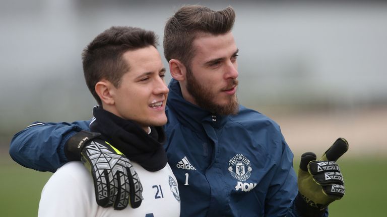 Ander Herrera and David de Gea