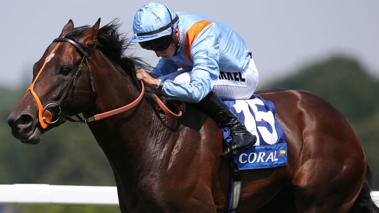 Tigre Du Terre - sold to race in Hong Kong