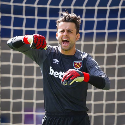 Fabianski: West Ham are on the up