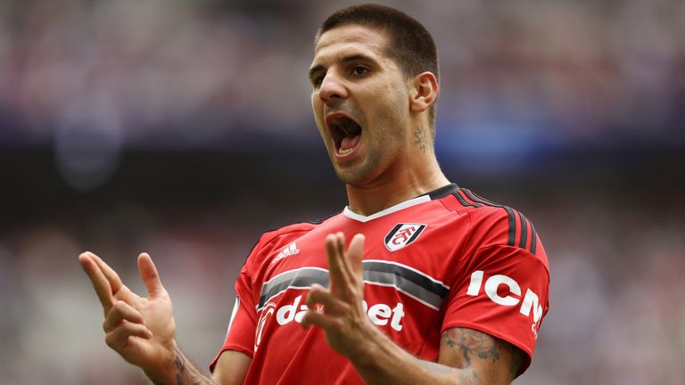 Aleksandar Mitrovic levelled things up at Wembley