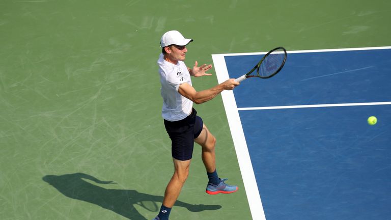 Juan Martin del Potro fell to diminutive Belgian David Goffin 7-6(5) 7-6(4).