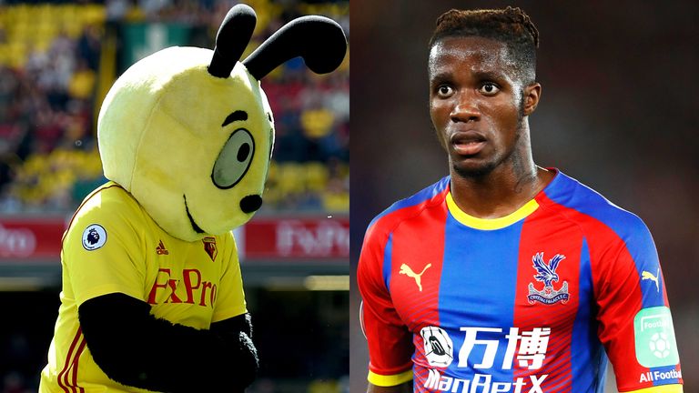 Harry the Hornet, Watford mascot, Wilfried Zaha, Crystal Palace