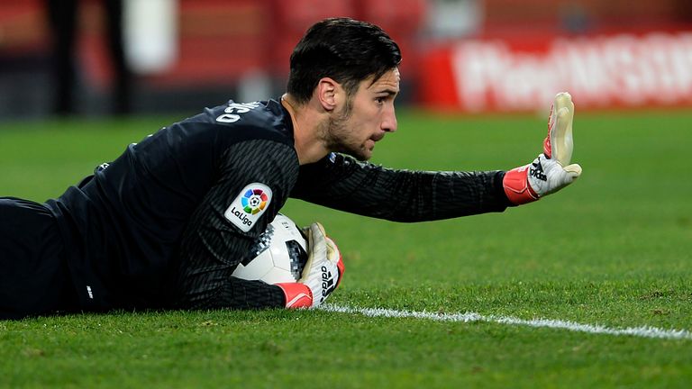 Former Sevilla goalkeeper Sergio Rico is expected to eventually overtake Fabri as Fulham's No 1