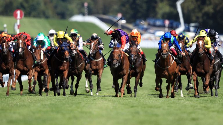 Seniority (centre) battles to victory in the Golden Mile