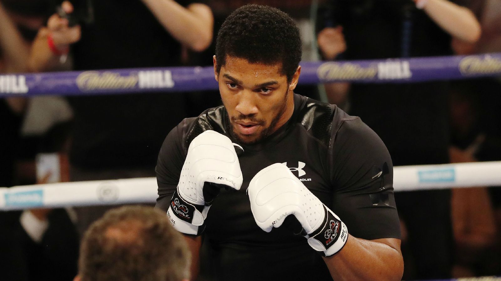 Fight public. Anthony Joshua Training.