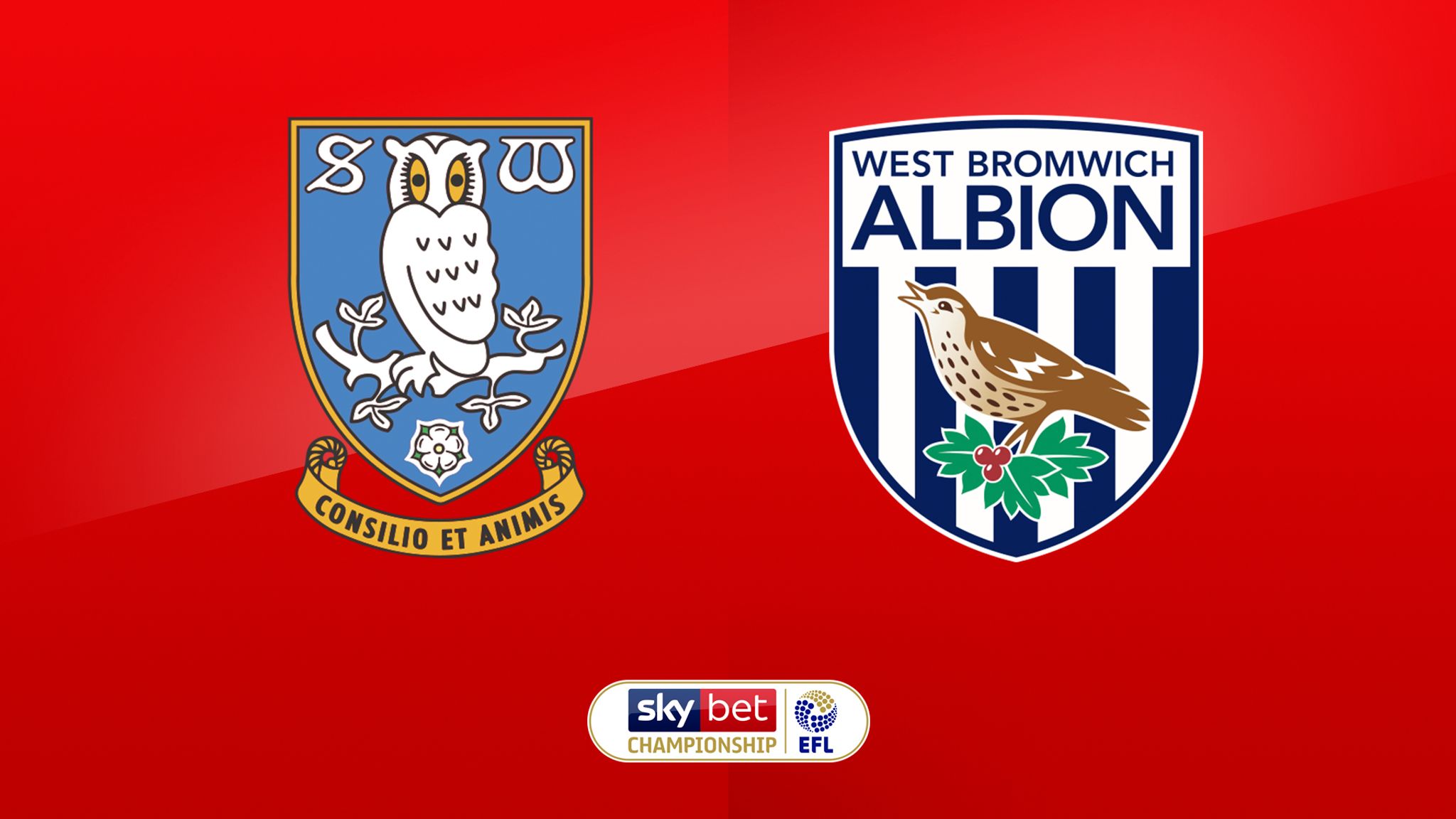 Live Match Preview - Sheff Wed Vs W Brom 03.10.2018