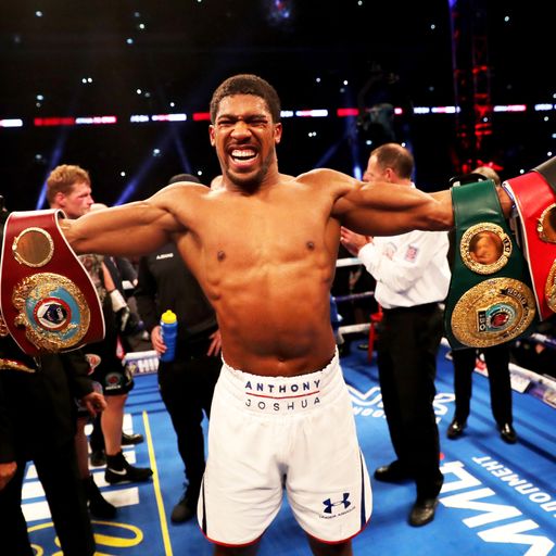 WBC backs AJ over 'ultimate fight' 