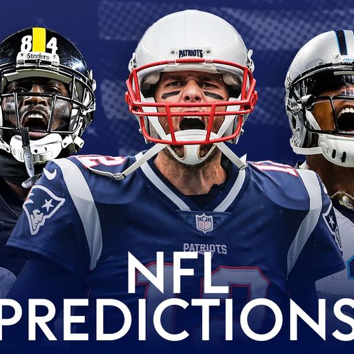 NFL Predictions: Week 13