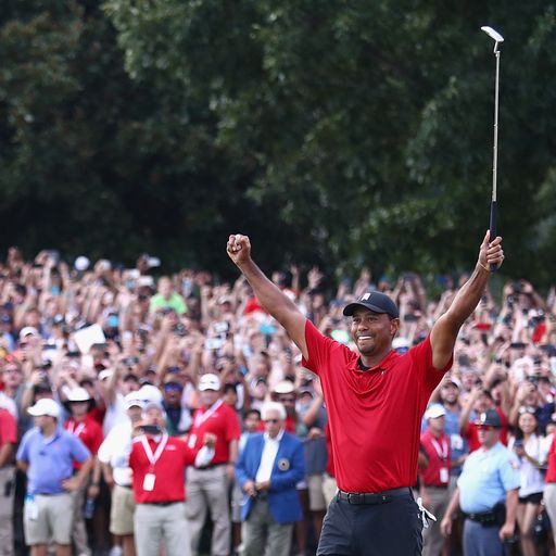 QUIZ: Tiger in 2018