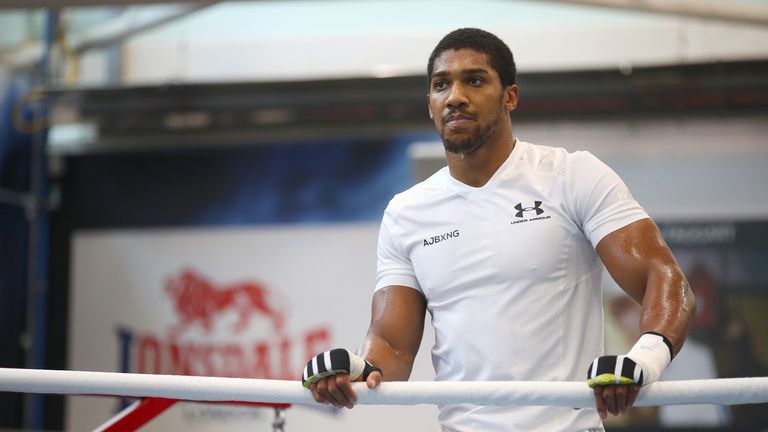 Anthony Joshua during a media workout at The English Institute of Sport, Sheffield