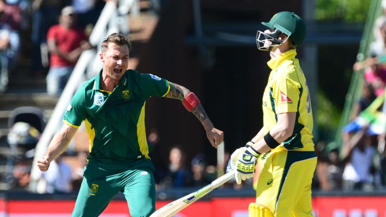 Dale Steyn roars after taking a wicket in South Africa's ODI against Australia in October 2016