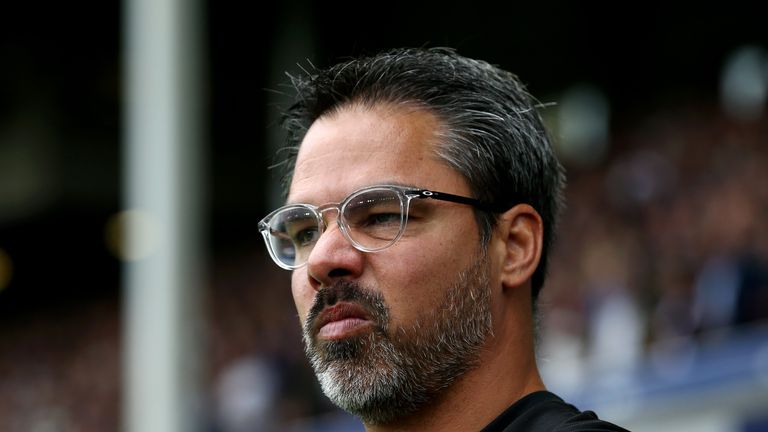 David Wagner was impressed by how his side acquitted themselves at Goodison