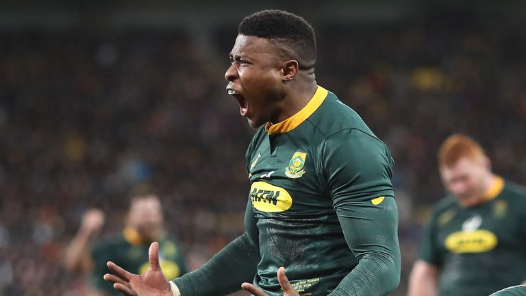 Aphid Dyantyi of South Africa celebrates his try during The Rugby Championship match between the New Zealand All Blacks and the South Africa Springboks at Westpac Stadium
