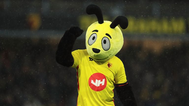 Watford mascot Harry the Hornet