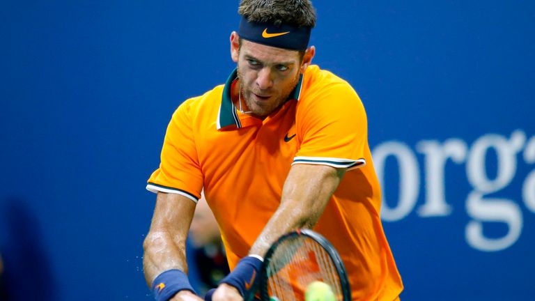 juan martin del potro