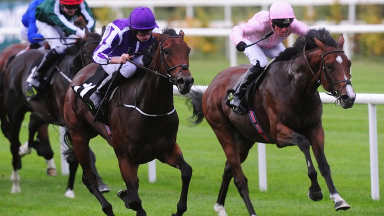 Kenya (left) chases home stablemate I Can Fly