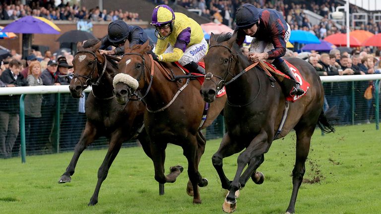 The Tin Man (Right) ridden by Oisin Murphy wins the 32Red Sprint Cup Stakes ahead of Brando (Centre) ridden by Tom Eaves and Gustav Klimt ridden by Ryan Moore during 32Red Sprint Cup Day at Haydock Park, Newton-Le-Willows. PRESS ASSOCIATION Photo. Picture date: Saturday September 8, 2018. See PA story RACING Haydock. Photo credit should read: Clint Hughes/PA Wire.