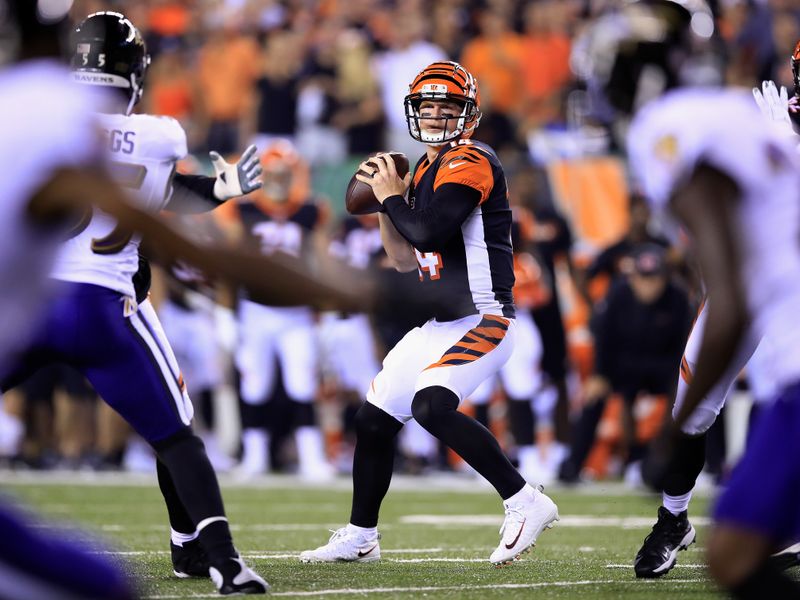 Cincinnati Bengals cornerback Tre Flowers (33) runs for the play during an  NFL football game against the Baltimore Ravens, Sunday, Jan. 8, 2023, in  Cincinnati. (AP Photo/Emilee Chinn Stock Photo - Alamy