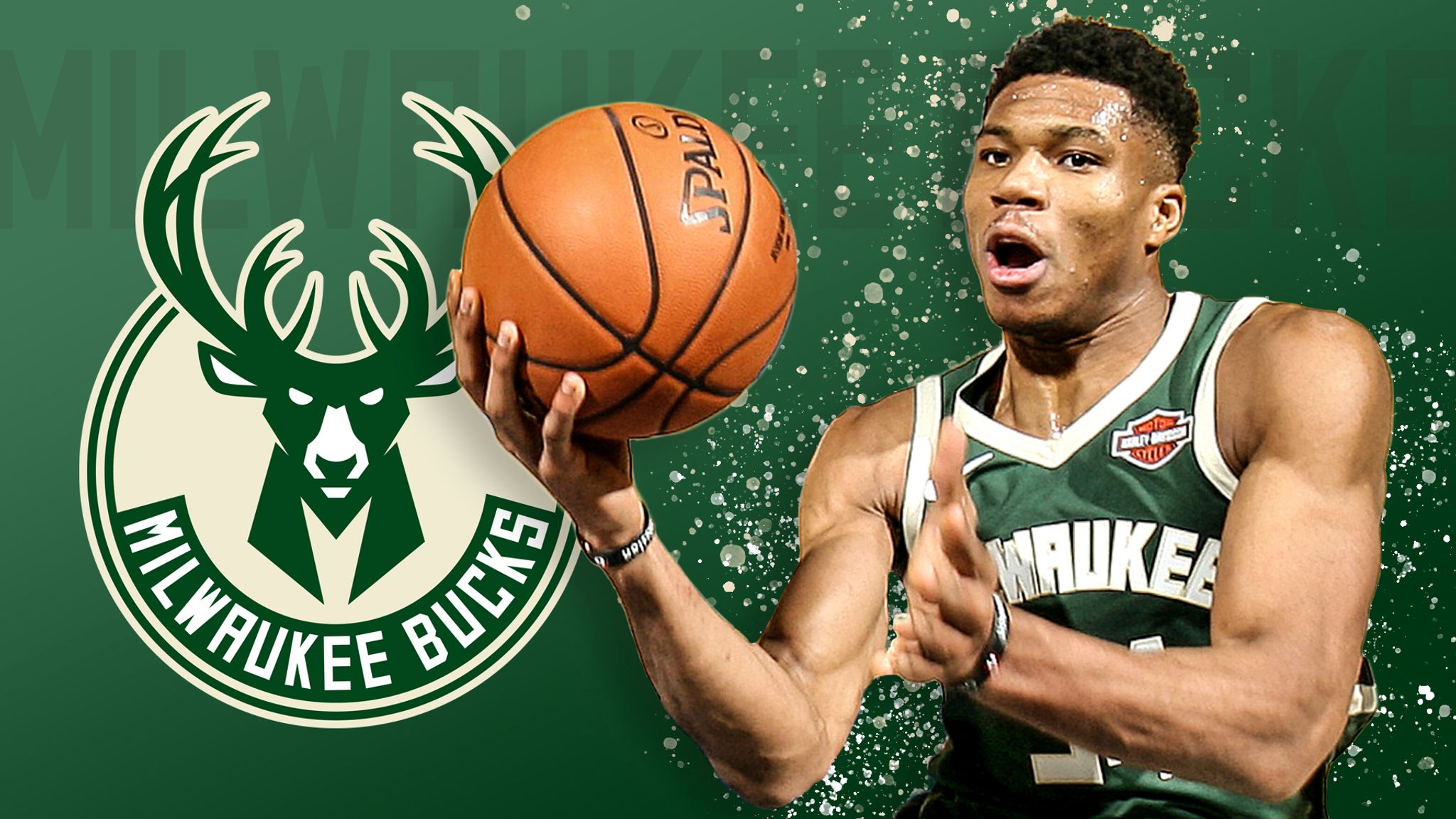 A force in the league. The Greek Freak. Giannis Antetokounmpo