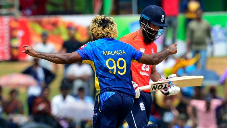 Sri Lankan cricketer Lasith Malinga (L) celebrates after he dismissed England cricketer Moeen Ali during the second one day international (ODI) cricket match between Sri Lanka and England at the Rangiri Dambulla International Cricket Stadium in Dambulla on October 13, 2018. 