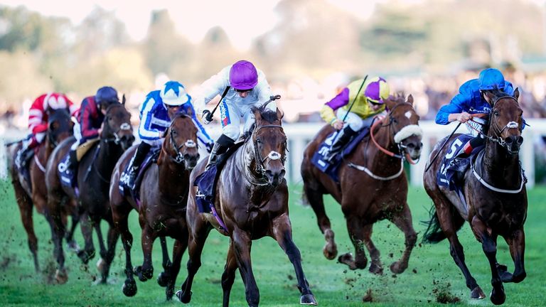 ASCOT, ENGLAND - OCTOBER 20: Paul Hanagan riding Sands Of Mali (C, purple cap) win The Qipco British Champions Sprint Stakes at Ascot Racecourse on October 20, 2018 in Ascot, United Kingdom. (Photo by Alan Crowhurst/Getty Images) *** Local Caption *** Paul Hanagan;Sands Of Mali 