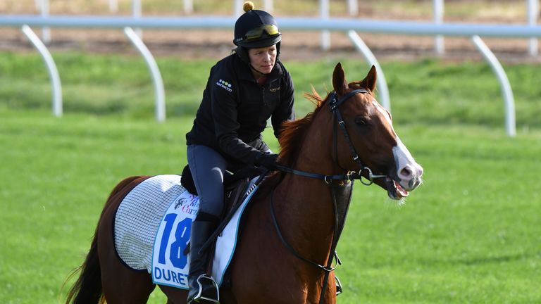 Duretto during a Werribee trackwork session at Werribee Racecourse