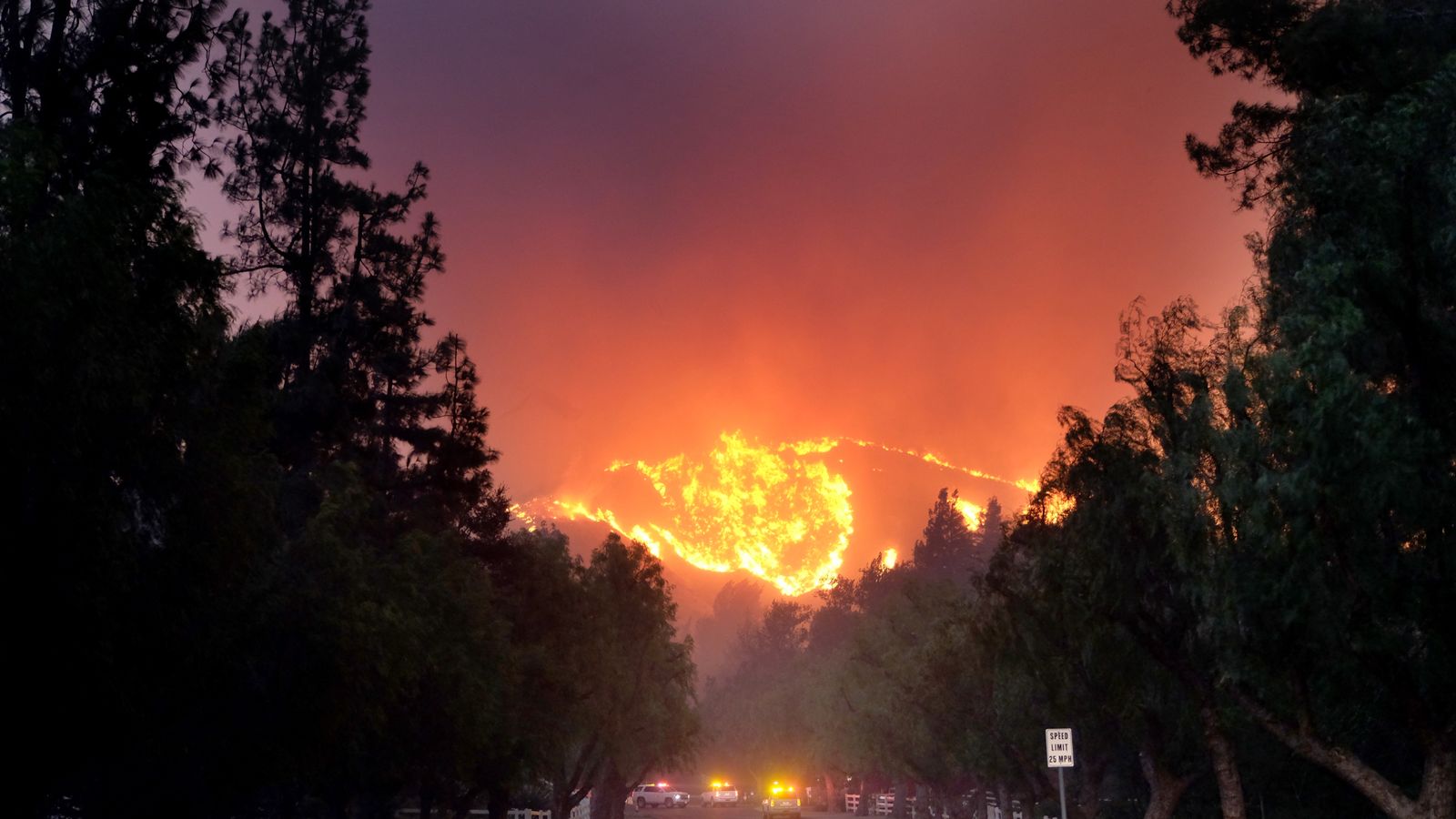 Hollywood Burns Californian Nightmare.