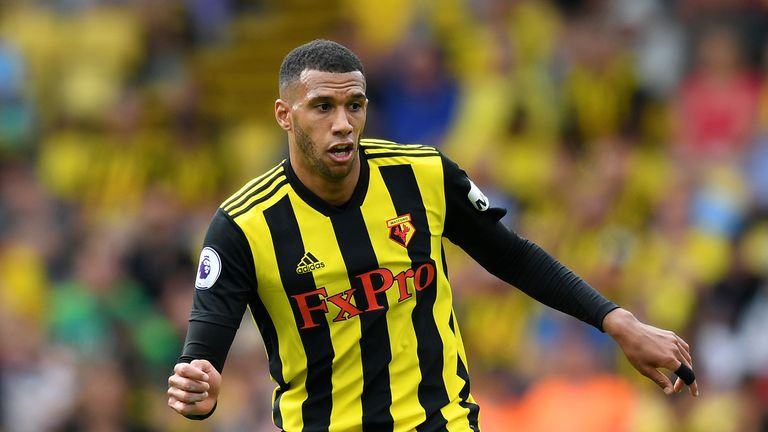 Etienne Capoue during the Premier League match between Watford FC and Brighton & Hove Albion at Vicarage Road on August 11, 2018 in Watford, United Kingdom.