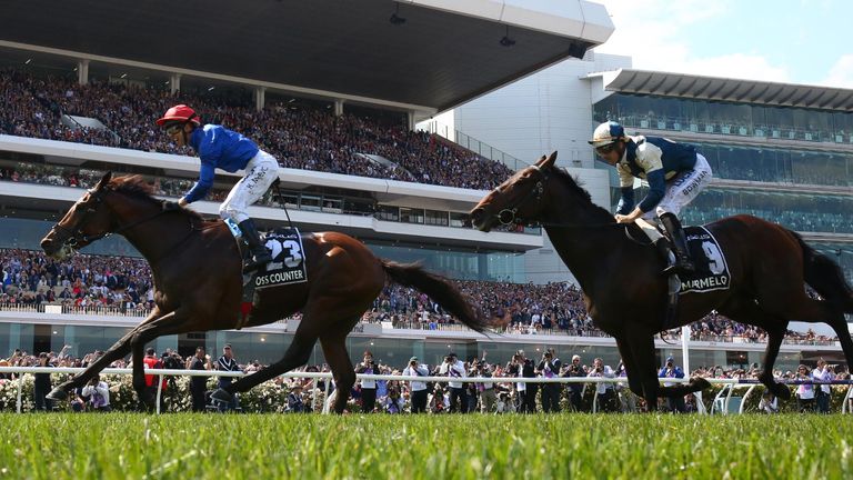 Cross Counter wins the Melbourne Cup for Godolphin