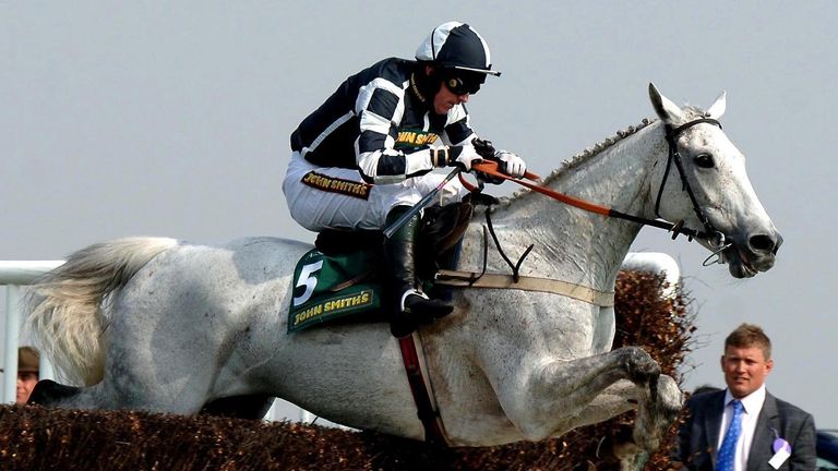 Monets Garden - popular grey died aged 20