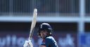 Livingstone lifts Lions to series win