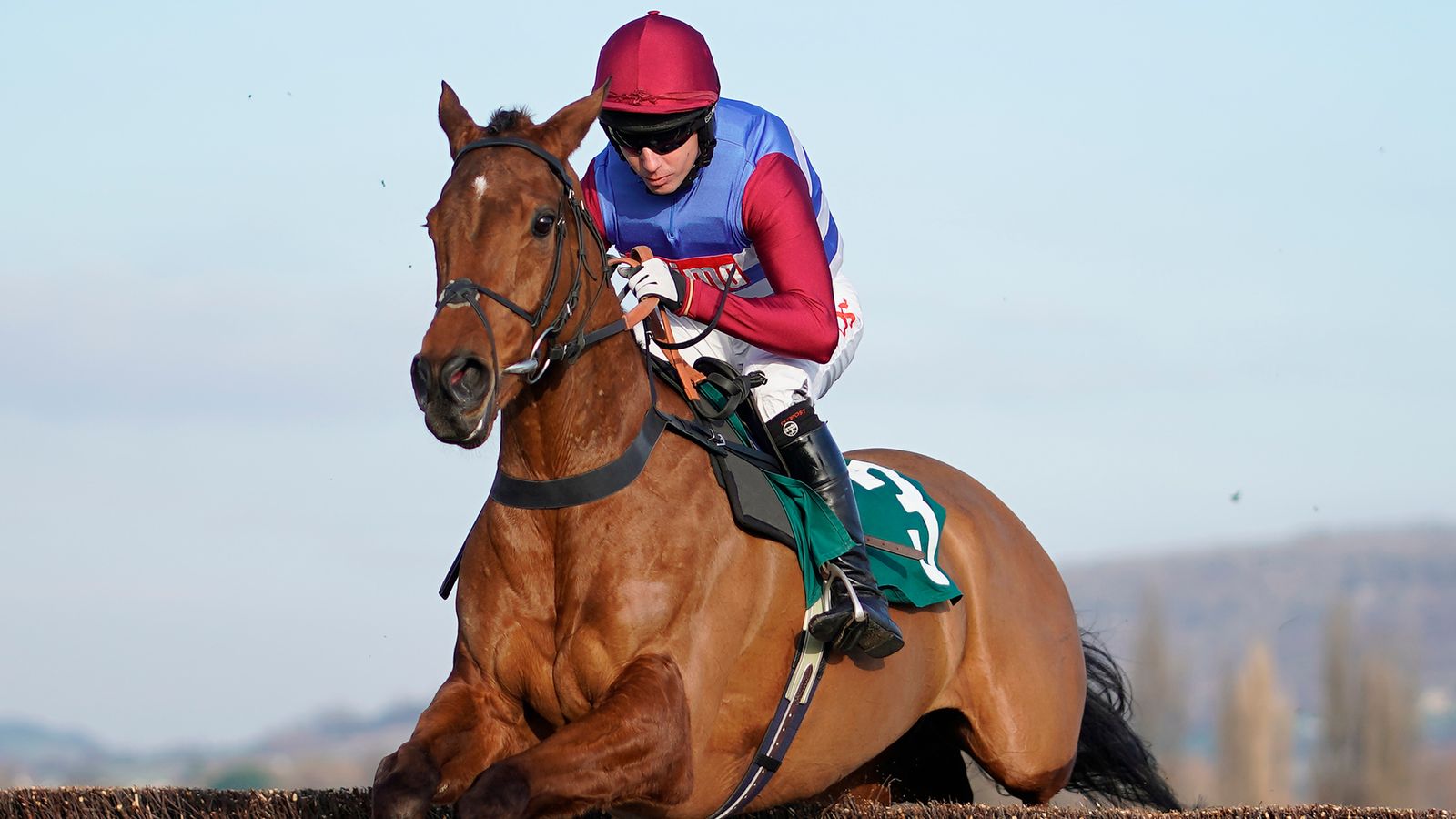 The Worlds End back on track with Cheltenham win | Racing News | Sky Sports